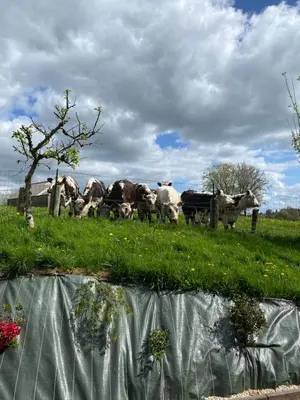Paysage naturel près de la maison de vacances