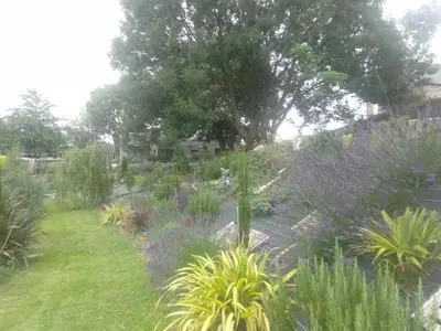 Jardin de l'établissement Gîte de la lanterne