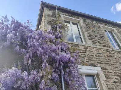Plan de l'établissement La bergeronnette