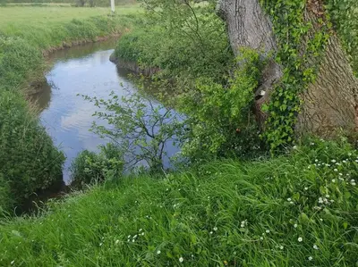Paysage naturel près de l'appartement