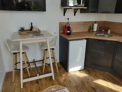 Cuisine ou kitchenette dans l'établissement Le vulcain