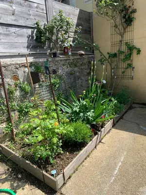 Jardin de l'établissement Chez Viviane