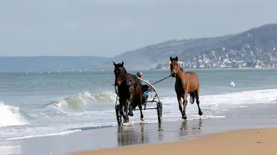 Plan de l'établissement Le Nid de Plage à 100 m de la mer