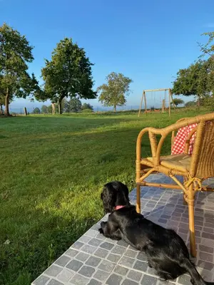 Animal ou animaux domestique(s) séjournant avec des clients dans l'établissement Entire Farm House stay, La Gérouardière