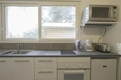 Cuisine ou kitchenette dans l'établissement Gold Beach Studio