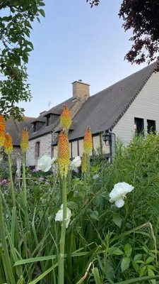 Jardin de l'établissement Sunset Family Guesthouse Mont Saint Michel