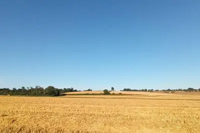 Paysage naturel près de la maison de vacances