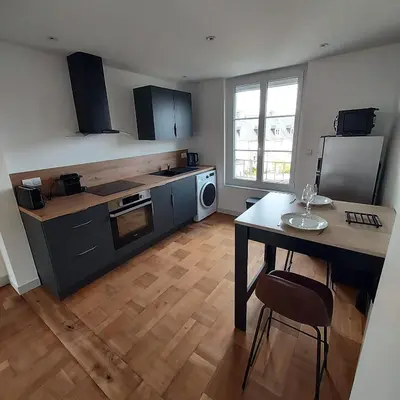 Cuisine ou kitchenette dans l'établissement Superbe appartement F2 refait à neuf plein centre