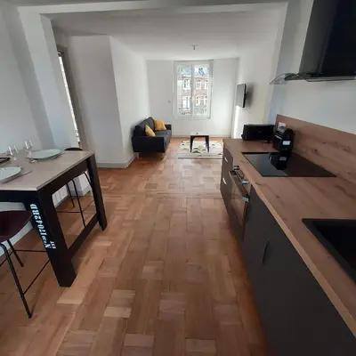 Cuisine ou kitchenette dans l'établissement Superbe appartement F2 refait à neuf plein centre