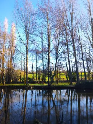 Paysage naturel près de le B&B/chambre d'hôtes