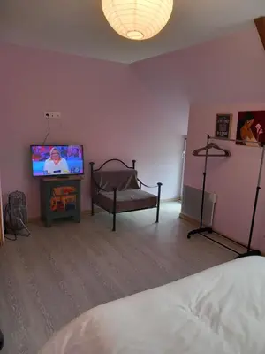 Télévision ou salle de divertissement dans l'établissement Chambre d'hôte de la baronne
