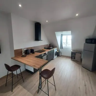 Cuisine ou kitchenette dans l'établissement Bel appartement F2 hyper centre refait à neuf