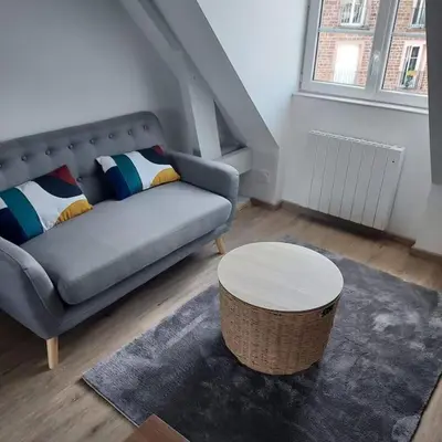 Coin salon dans l'établissement Bel appartement F2 hyper centre refait à neuf