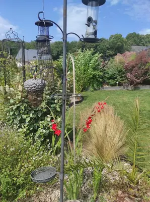 Jardin de l'établissement La Petite Goulette