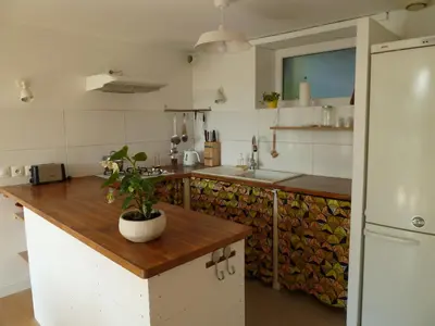 Cuisine ou kitchenette dans l'établissement L' ALBIZIA