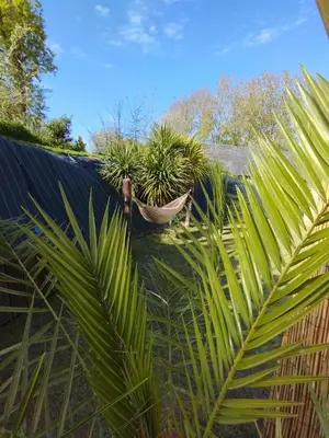 Jardin de l'établissement Jolie maison au calme et proche mer avec spa en option