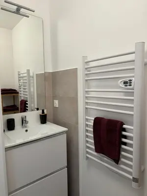 Cuisine ou kitchenette dans l'établissement Presqu'île, appartement neuf avec balcon, salle de gym et parking