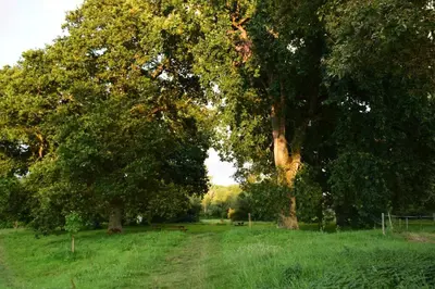 Paysage naturel près de la maison de vacances