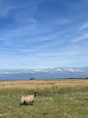 Paysage naturel près de la maison de vacances