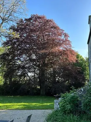 Jardin de l'établissement Manoir Charme Baie Mont St Michel