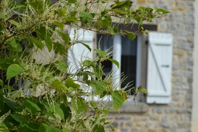 Jardin de l'établissement Proche de Sainte Mère-Eglise