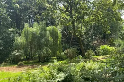 Jardin de l'établissement Le Perchoir Gîte de charme dans château -SPA-
