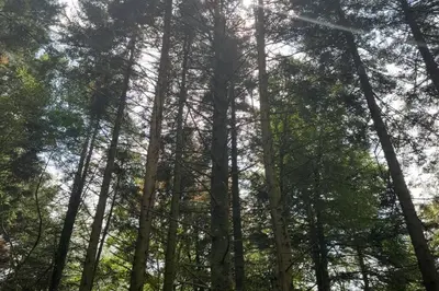Paysage naturel près de l'appartement