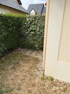 Jardin de l'établissement Maison à 3 min de Cabourg / 5min à pieds de la mer