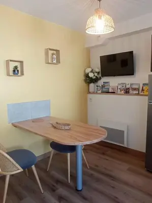 Télévision ou salle de divertissement dans l'établissement A 50 m de la plage, appartement de 35 m2 : Les pieds salés