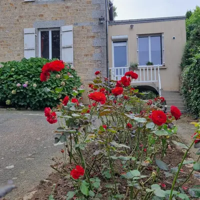 Jardin de l'établissement Studio Gypsy