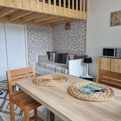 Cuisine ou kitchenette dans l'établissement Studio Gypsy