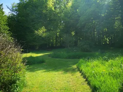 Paysage naturel près de la maison de vacances