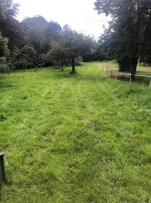 Plan de l'établissement La Forêt Auvray - Maison de campagne