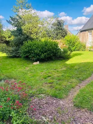 Plan de l'établissement La Forêt Auvray - Maison de campagne