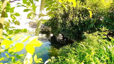 Jardin de l'établissement La Sarriette proche des plages du débarquement