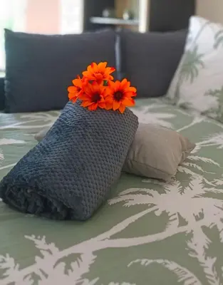 Un ou plusieurs lits dans un hébergement de l'établissement Appartement avec jardin - Centre-ville à 10 minutes à pied
