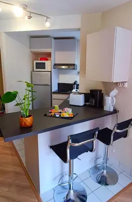 Cuisine ou kitchenette dans l'établissement Appartement avec jardin - Centre-ville à 10 minutes à pied