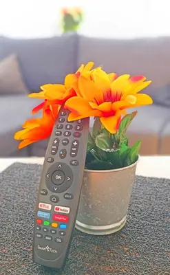 Télévision ou salle de divertissement dans l'établissement Appartement avec jardin - Centre-ville à 10 minutes à pied