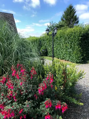Jardin de l'établissement Daisy Cottage with seasonal Swimming Pool