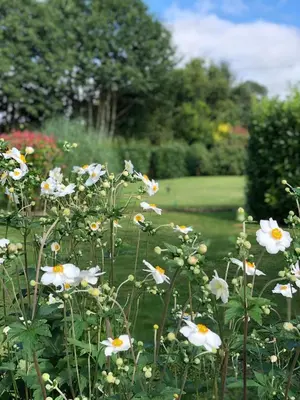 Jardin de l'établissement Daisy Cottage with seasonal Swimming Pool