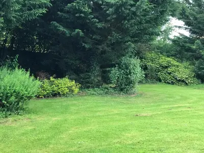 Jardin de l'établissement La Longre