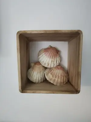 Plan de l'établissement Maison Ô calme