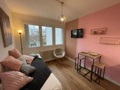 Télévision ou salle de divertissement dans l'établissement Rose, Studio proche centre ville