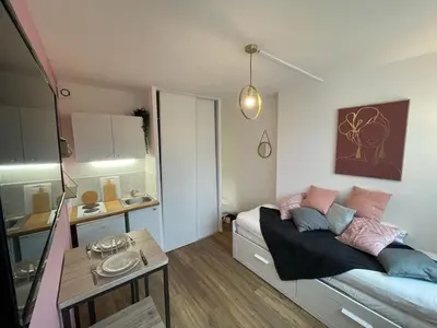 Un ou plusieurs lits dans un hébergement de l'établissement Rose, Studio proche centre ville