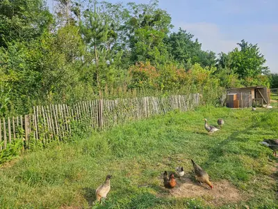 Jardin de l'établissement Camping Riva Bella