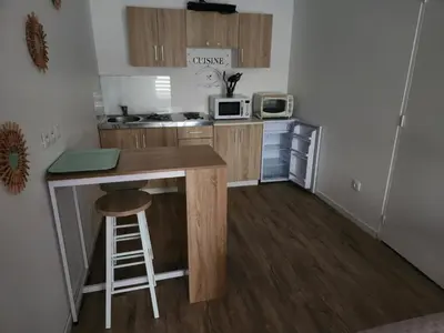 Cuisine ou kitchenette dans l'établissement Studio Le KA-PHI