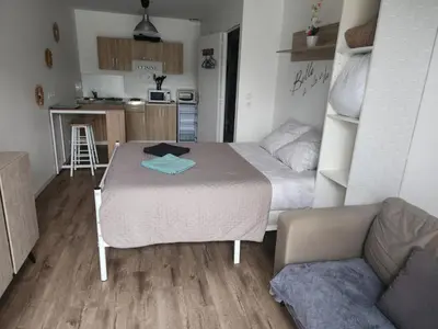 Cuisine ou kitchenette dans l'établissement Studio Le KA-PHI