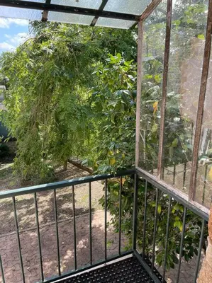 Jardin de l'établissement Les Maisons d'Auré