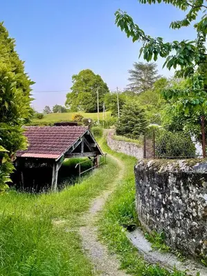 Paysage naturel près de la maison de vacances