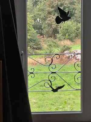 Jardin de l'établissement la hamonniere
